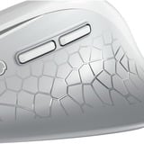CHERRY STREAM MOUSE COMFORT, Souris Blanc