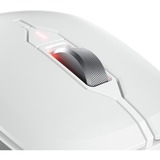 CHERRY STREAM MOUSE COMFORT, Souris Blanc