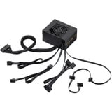 FSP SFX PRO alimentation 450 watt Noir, 2x PCIe