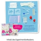 KOSMOS 45872856 coffret de sciences pour enfant, Boîte d’expérience Kit d'expériences, Cooking, 8 an(s)