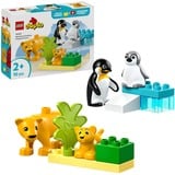 LEGO DUPLO City - Familles d'animaux sauvages: pingouins et lions, Jouets de construction 10442 - Familles d'animaux sauvages