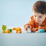 LEGO DUPLO City - Familles d'animaux sauvages: pingouins et lions, Jouets de construction 10442 - Familles d'animaux sauvages