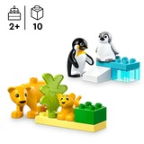 LEGO DUPLO City - Familles d'animaux sauvages: pingouins et lions, Jouets de construction 10442 - Familles d'animaux sauvages