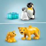 LEGO DUPLO City - Familles d'animaux sauvages: pingouins et lions, Jouets de construction 10442 - Familles d'animaux sauvages