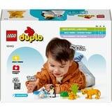 LEGO DUPLO City - Familles d'animaux sauvages: pingouins et lions, Jouets de construction 10442 - Familles d'animaux sauvages