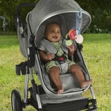 Mattel Planet Friends – Honu, ma Tortue à suspendre, Smartphone ma Tortue à suspendre, Tortue, 0 an(s), Sonore