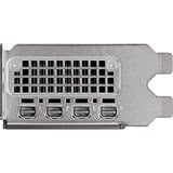 PNY NVIDIA RTX 2000 Ada Generation 16GB SB, Carte graphique 