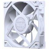 Phanteks M25G2-120 D-RGB ventilateur de boîtier Blanc, 120 x 120 x 25 mm, PWM