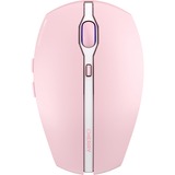 CHERRY GENTIX BT souris Gaming Ambidextre Bluetooth Optique 2000 DPI Rose, Ambidextre, Optique, Bluetooth, 2000 DPI, Rose