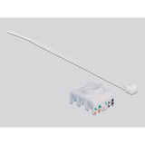 DeLOCK Adaptateur sur rail DIN avec module Keystone RJ-45 > Cat.6a LSA, Module de Keystone Gris