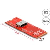 DeLOCK Convertisseur M.2 Key M vers 1 x OCuLink SFF-8612, Carte d'interface 