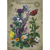 Ravensburger Puzzle - Cercle de vie Papillon 
