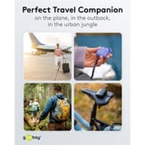 goobay Powerbank 10 000 mAh, câble USB-C intégré 13 cm, 20 watts Noir