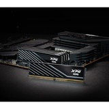 ADATA 32 Go DDR5-6000 (2x 16 Go) mémoire vive Noir, AX5U6000C4816G-DTLABBK, XMP 3.0, EXPO