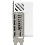 ASUS 90YV0LV5-M0NA00, Carte graphique Blanc