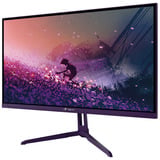 Arozzi Nova 24T1K200 23.8" Moniteur gaming Violâtre, 1x DisplayPort, 1x HDMI, 200 Hz