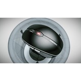 CHERRY MW 8C ADVANCED business, Souris Noir, 600 - 3200