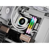 Corsair Vengeance RGB 32 Go DDR5-6000 (2x 16 Go) mémoire vive Blanc, CMH32GX5M2D6000Z38W, XMP, EXPO