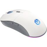 EY6A005, Souris gaming
