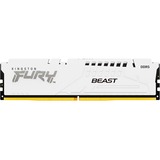 Kingston FURY KF568C34BWE-16, Mémoire vive Blanc