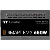 Thermaltake SMART BM3 alimentation modulaire 650 watt Noir, 4x PCIe