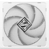 ASRock Steel Legend SL-850GW alimentation modulaire 850 watt Blanc, 1x 12V-2x6, 2x PCIe