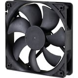 Cooler Master , 750 Watt alimentation  Noir