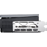 MSI V531-039R, Carte graphique 