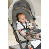 ZAPF Creation Biberon pour bébés avec hochet à l'intérieur et clip, lavable, Bouteille de bébé Vente au détail