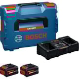 Bosch Set de démarrage EXPERT 18V, 2x EXBA 18V-80 + chargeur EXAL18V2-320, Bundle Noir