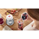 Bosch VitaPower MMB2111T blender 0,6 L Mixeur de cuisine 450 W Argent Argent/Blanc, Mixeur de cuisine, 0,6 L, 0,8 m, 450 W, Argent