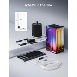 Govee Lampe sur pied RGBICWW Pro, Lumière LED Noir