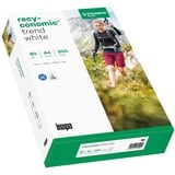 Inapa Recyconomic Trend blanc A4, Papier 