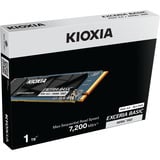 Kioxia Exceria Basic 1 TB SSD 