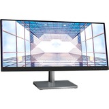 Lenovo L29w-30 73,7 cm (29") 2560 x 1080 pixels Quad HD LED Noir, Argent, Moniteur LED Noir, 73,7 cm (29"), 2560 x 1080 pixels, Quad HD, LED, 6 ms, Noir, Argent