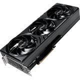 Palit GeForce RTX 5080 Infinity 3 OC, Carte graphique 