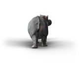 Schleich Vie Sauvage Hippopotame, Figurine 