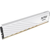 ADATA 24 Go DDR5-6000 (1x 24 Go) mémoire vive Blanc, AX5U6000C3624G-SLABWH, XMP 3.0, EXPO