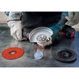 Bosch X-LOCK Expert R781 disque abrasif en fibre céramique Prisma, Ø 180mm, K60, Meule d’affûtage 