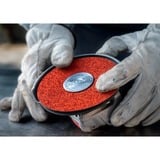 Bosch X-LOCK Expert R781 disque abrasif en fibre céramique Prisma, Ø 180mm, K60, Meule d’affûtage 