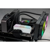 Corsair 64 Go DDR5-5200 Kit, Mémoire vive Blanc, CMT64GX5M2B5200C40W, Dominator Platinum RGB, XMP