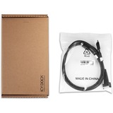 Icy Dock Câble MCIO x8 SFF-TA-1016 > 2x OCuLink 4i SFF-8611 Noir