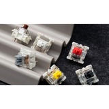 Keychron G184, Switch pour clavier Noir/transparent