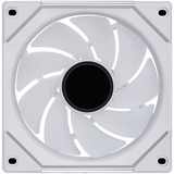 Lian Li UF-RSLIN140-1W, Ventilateur de boîtier Blanc