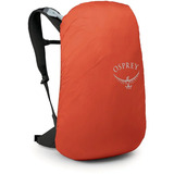 Osprey Hikelite LT 30, Sac à dos Argent