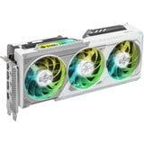 ASRock Intel® Arc B580 Steel Legend 12Go OC, Carte graphique 1x HDMI, 3x DisplayPort