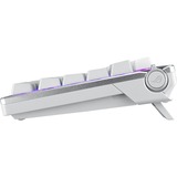 ASUS clavier gaming Blanc, Layout DE, ROG NX Snow