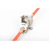 Digitus Raccord professionnel Cat.6a pour applications sur le terrain, 500 MHz, 10GBase-T 