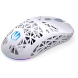 ENDORFY EY6A019, Souris gaming Blanc