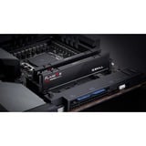 G.Skill 64 Go DDR5-5600 (2x 32 Go) mémoire vive Noir, F5-5600J3636D32GX2-FX5, EXPO